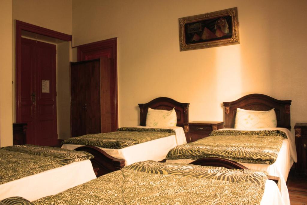 Hola Cairo Hostel חדר תמונה