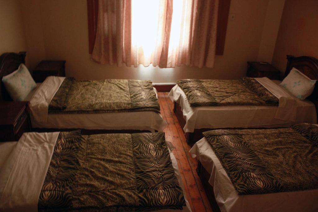 Hola Cairo Hostel מראה חיצוני תמונה